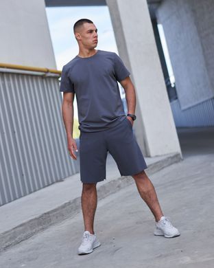 Мужские спортивные шорты фуме цвета, модель 9т3shorts