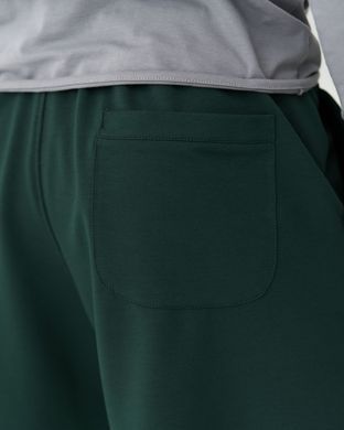 Чоловічі спортивні шорти зеленого  кольору, модель 9т2shorts