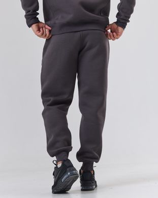 Костюм з худі hood чоловічий зимовий димний фуме кольору,  модель 344w3-N-darkfume