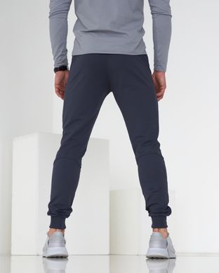 Тонкі чоловічі спортивні штани фуме кольору  модель 61pants_fume