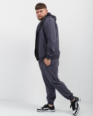 Костюм hood sport чоловічий без утеплення  фуме кольору,  модель 34т2-fume