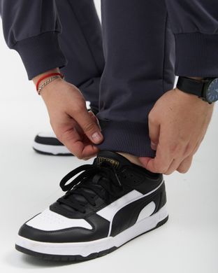 Костюм hood sport чоловічий без утеплення  фуме кольору,  модель 34т2-fume