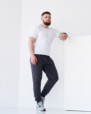 Чоловічі спортивні штани фуме кольору, модель 4pants_fume