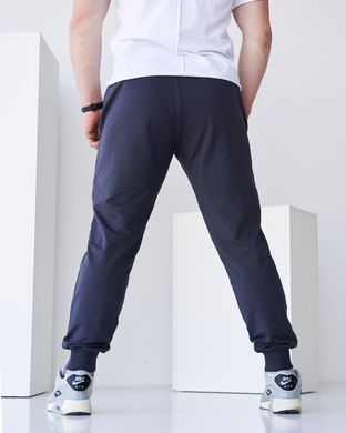 Чоловічі спортивні штани фуме кольору, модель 4pants_fume