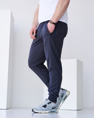 Чоловічі спортивні штани фуме кольору, модель 4pants_fume