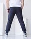 Чоловічі спортивні штани фуме кольору, модель 4pants_fume