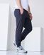 Чоловічі спортивні штани фуме кольору, модель 4pants_fume