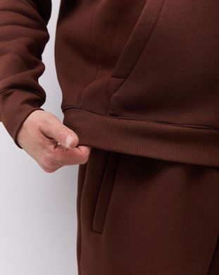 Костюм з худі hood чоловічий зимовий коричневого кольору,  модель 344w3-brown