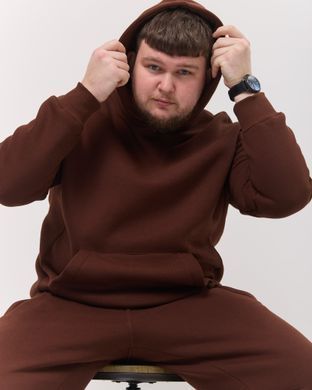 Костюм з худі hood чоловічий зимовий коричневого кольору,  модель 344w3-brown
