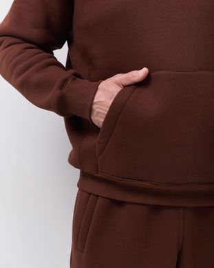 Костюм з худі hood чоловічий зимовий коричневого кольору,  модель 344w3-brown