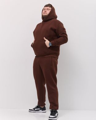 Костюм з худі hood чоловічий зимовий коричневого кольору,  модель 344w3-brown