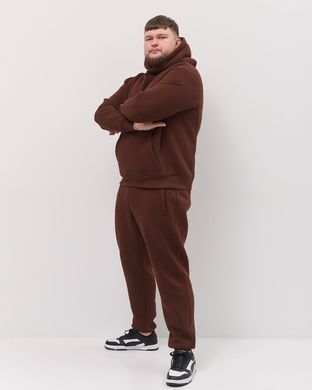 Костюм з худі hood чоловічий зимовий коричневого кольору,  модель 344w3-brown