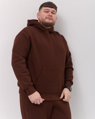 Костюм з худі hood чоловічий зимовий коричневого кольору,  модель 344w3-brown