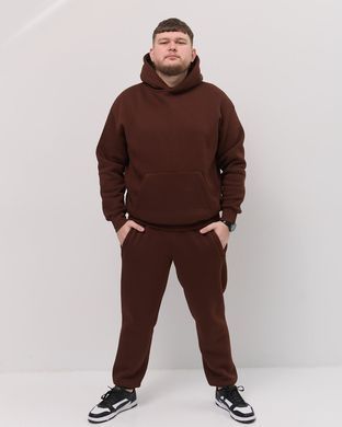 Костюм з худі hood чоловічий зимовий коричневого кольору,  модель 344w3-brown