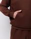 Костюм з худі hood чоловічий зимовий коричневого кольору,  модель 344w3-brown