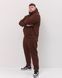 Костюм з худі hood чоловічий зимовий коричневого кольору,  модель 344w3-brown