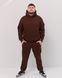 Костюм з худі hood чоловічий зимовий коричневого кольору,  модель 344w3-brown